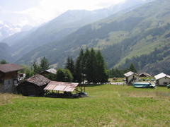 IMG_0001.JPG