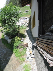IMG_0008.JPG