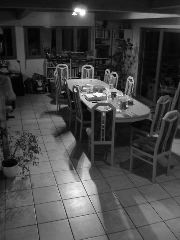 IMG_0419.JPG