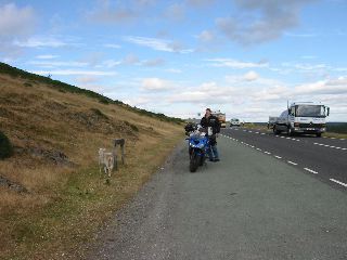 IMG_0046.JPG
