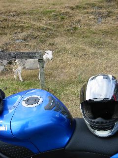 IMG_0047.JPG
