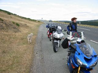 IMG_0049.JPG