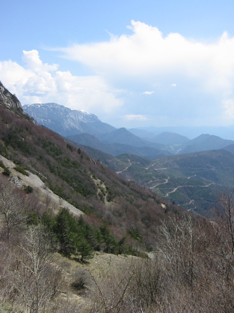 IMG_0498.JPG