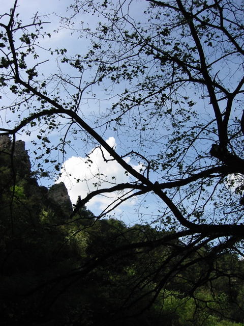 IMG_0417.JPG