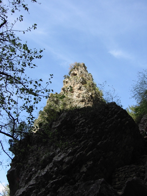 IMG_0418.JPG