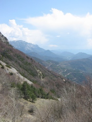 IMG_0498.JPG