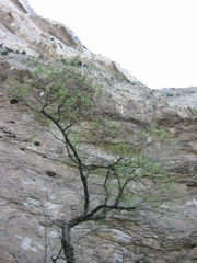 IMG_0414.JPG