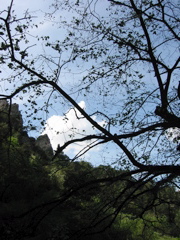 IMG_0417.JPG