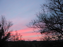 IMG_0422.JPG