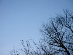 IMG_0438.JPG