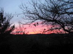 IMG_0439.JPG