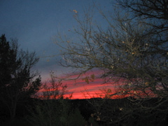 IMG_0440.JPG