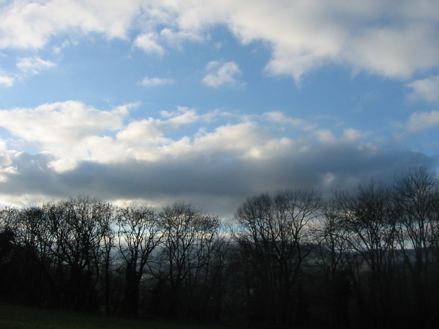 IMG_0016.JPG