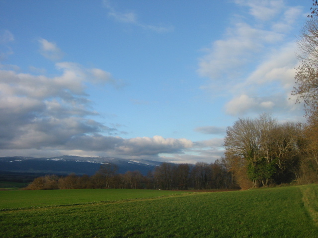 IMG_0025.JPG