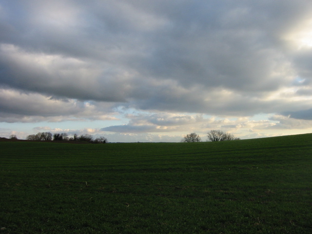 IMG_0035.JPG