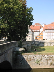 IMG_0045.JPG