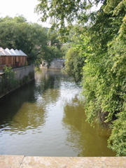 IMG_0049.JPG