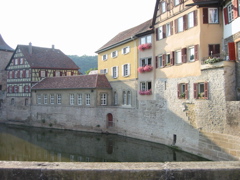 IMG_0052.JPG