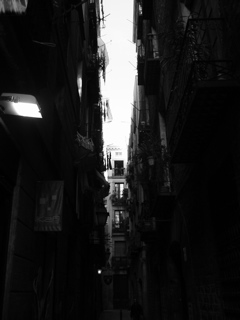 IMG_0304