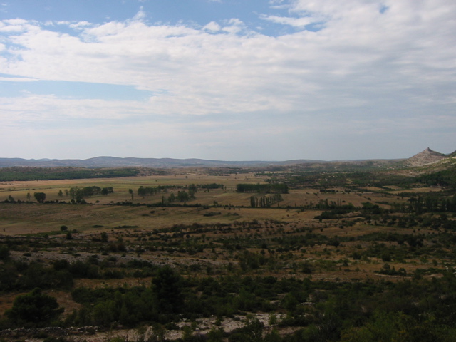 100-0005_STD