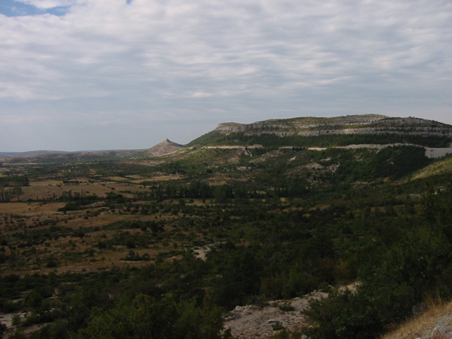 100-0006_STE