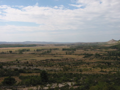 100-0005_STD