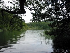 102-0266_IMG