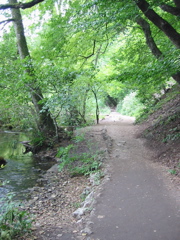 102-0267_IMG
