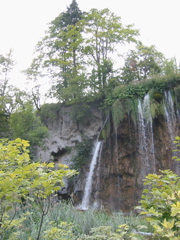 102-0271_IMG