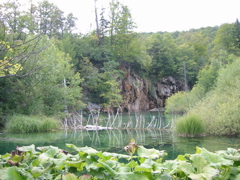 102-0274_IMG