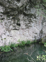 102-0277_IMG