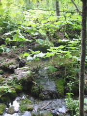102-0279_IMG