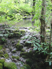 102-0280_IMG