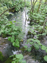 102-0282_IMG