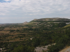 100-0006_STE