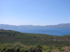 100-0098_IMG