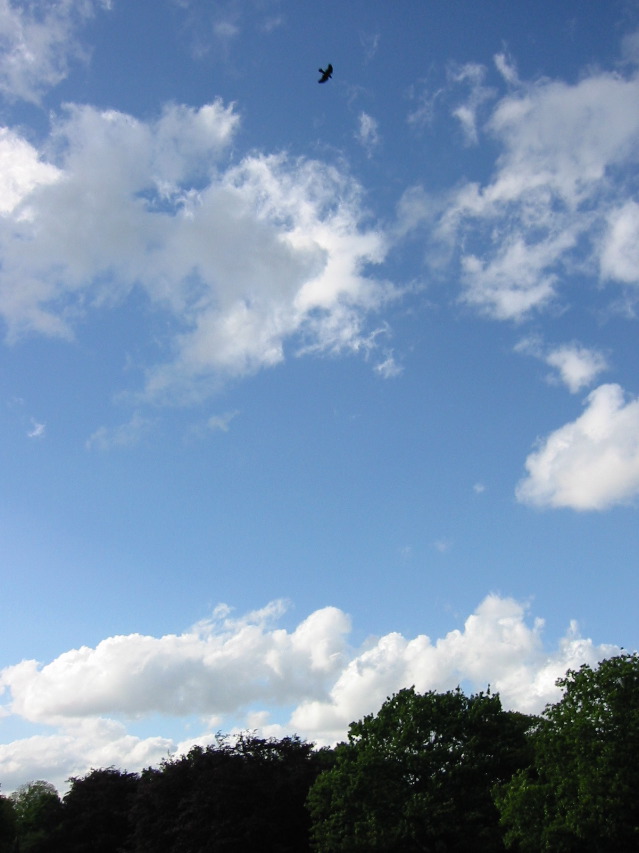 IMG_0476.JPG