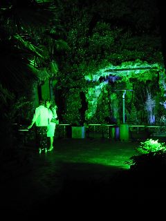 IMG_0679.JPG