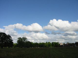 IMG_0466.JPG