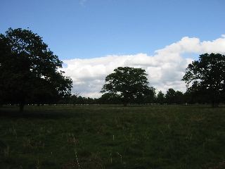 IMG_0468.JPG