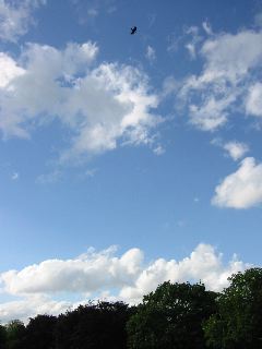 IMG_0476.JPG