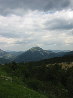 IMG_0340