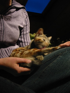 IMG_0170.JPG