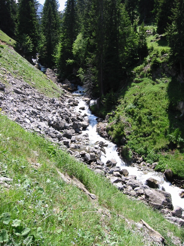 IMG_0547.JPG