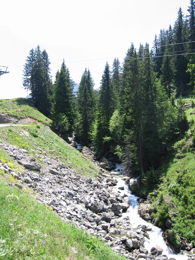 IMG_0548.JPG