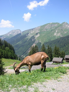 IMG_0545.JPG