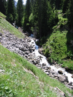 IMG_0547.JPG