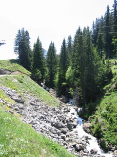 IMG_0548.JPG