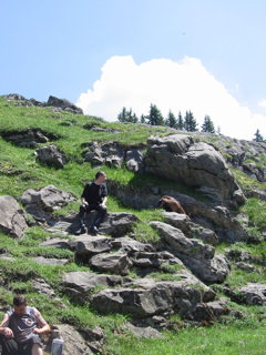 IMG_0555.JPG