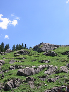IMG_0557.JPG